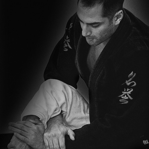 BJJ Crash Course