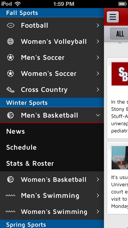 Stony Brook Seawolves