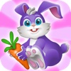 Funny Bunny Adventures