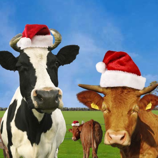 Save The Cows Christmas Special iOS App