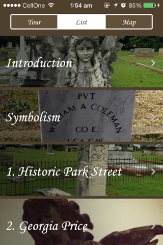 Historic Carrollton Cemetery screenshot 3