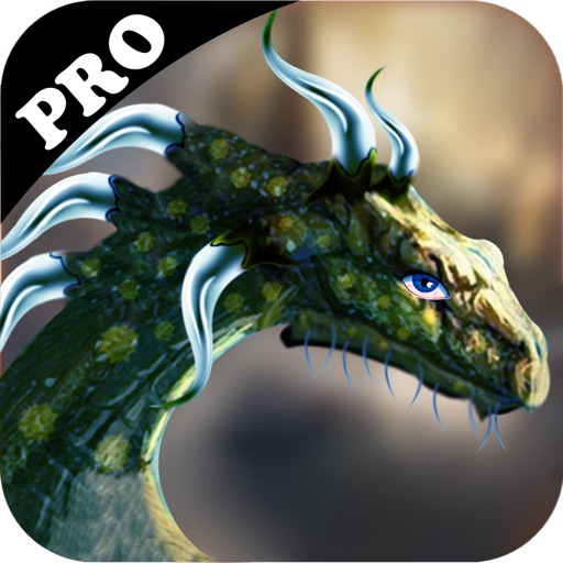 Dragon Queen Reign of Terror : Pro Icon