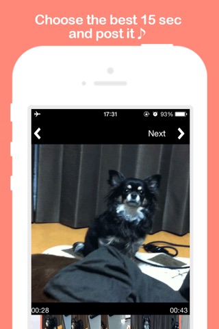 PiVid～You can  share 15 sec videos related to pets !～ screenshot 2