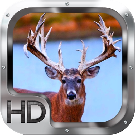 Deer Hunter Crossing Gold icon