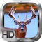 Deer Hunter Crossing Gold