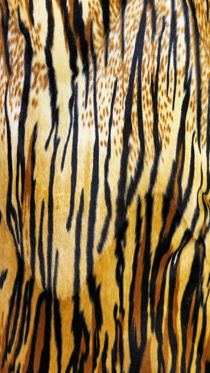Skin My Skin - Animal Print