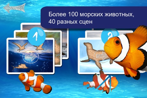 Sealife Photo Jigsaw Puzzle screenshot 4