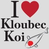 Kloubec Koi