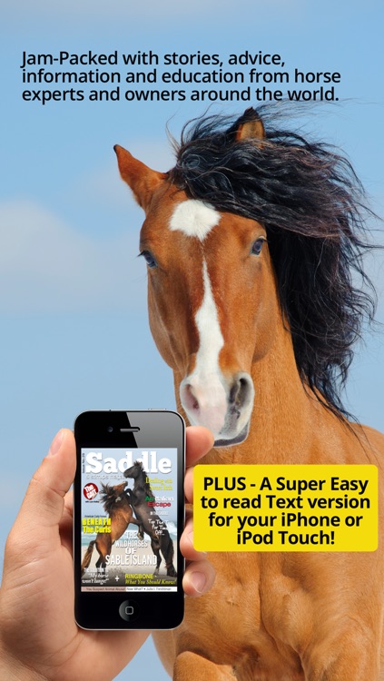 Saddle And Stirrups Magazine: Equestrian health, nutrition and horsemanship for horse and rider