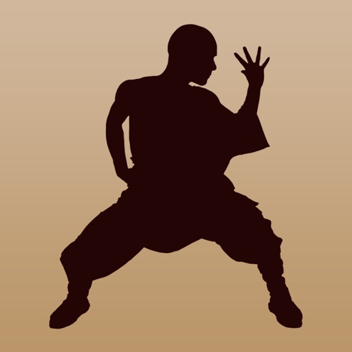 Shaolin Qixing Boxing