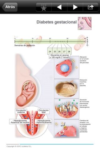 Miniatlas Diabetes Mellitus screenshot 3