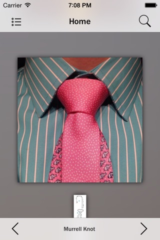 Necktie Knots screenshot 2