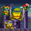 Ninja Team: Teenage Mutant Ninja Turtles version