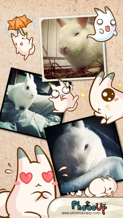 Nabbit Cam by PhotoUp - Cute  Rabbit Bunny Cat Stamps Photo Frame Filter Decoration App screenshot-3