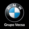 Grupo Vecsa