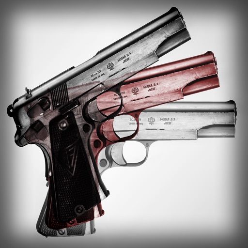 Gun Pro Puzzle Maker & more icon