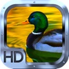 Duck Hunting Master Pro