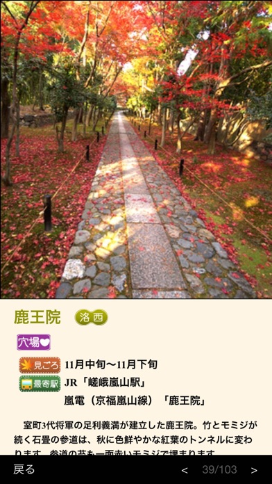 ぶらぶら京都　京都の紅葉 screenshot1