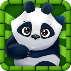 Activities of Panda Runs