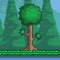 News for Terraria Plus - Wallpapers and Video Guide