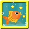 Goldfish dive adventures