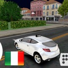 Taxi Driver - Italy Venice City 3D