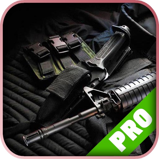 ProGame - SWAT 4 Version Icon