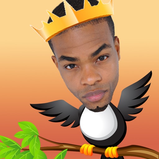 King Bachy Bird icon