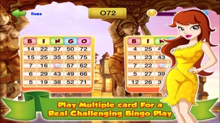 Bingo Master Deluxe Casino - HD Free 1.0 IOS -