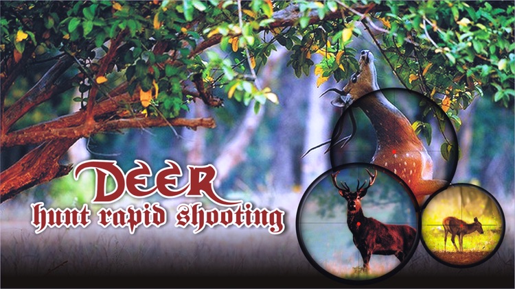 Deer Hunt Rapid Shooting