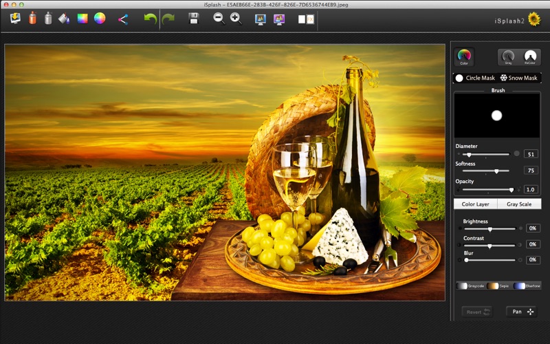 iSplash 2 - New Color Burst Photo Editor thumbnail 3