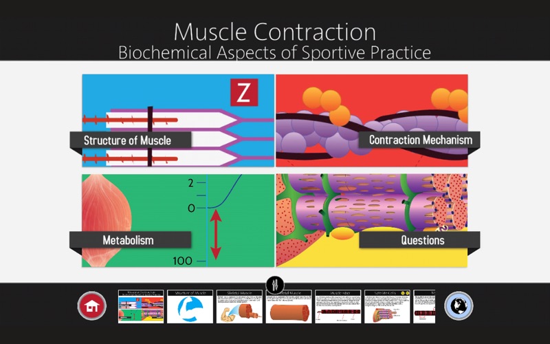 Muscle Contraction thumbnail 1