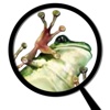 Froguts Frog Dissection HD for iPad