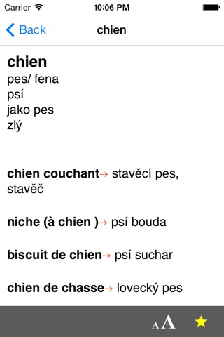 Czech-French dictionary screenshot 4