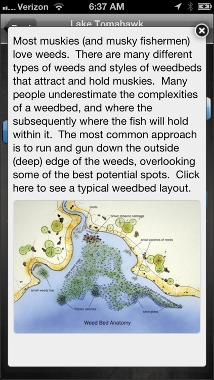 Musky Hunter LITE screenshot-4