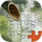 Jig-saw Puzzl Puzzle- Unscramble the Pic