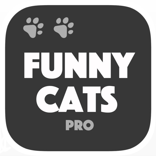 Cats are Funny - Vine & dubsmash gallery Pro icon