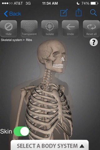 ArchieMD 3D Health PREVIEW screenshot 2