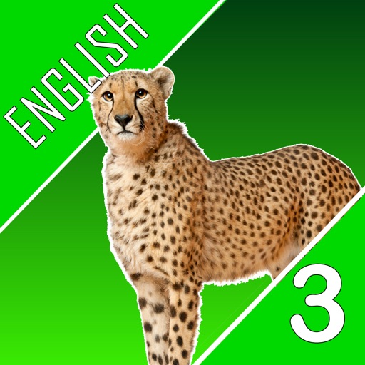 English Quest Quiz - Third Grade icon