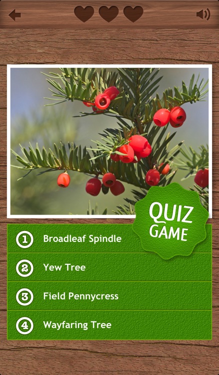 Wild Berries & Herbs - NATURE MOBILE screenshot-3