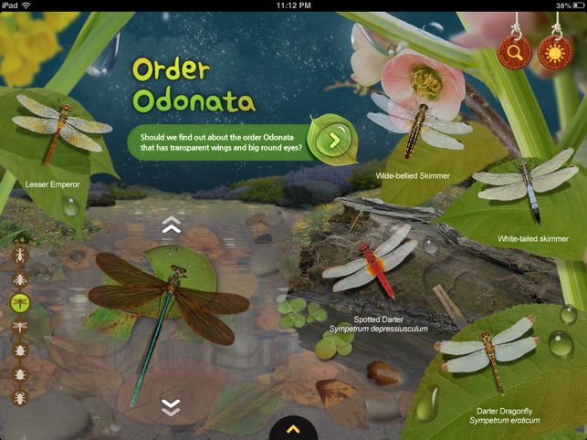 Meet the Insects: Water & Grass Edition(圖2)-速報App