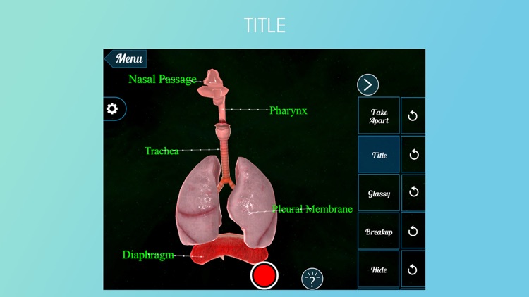 Virtual Reality(VR)Human Lungs