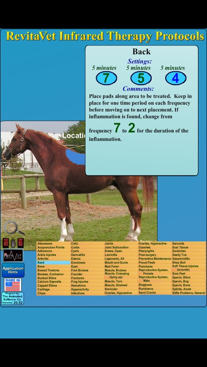 Revitavet Infrared Therapy Protocols