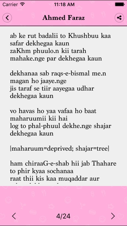 Hindi-Urdu Poetry screenshot-3