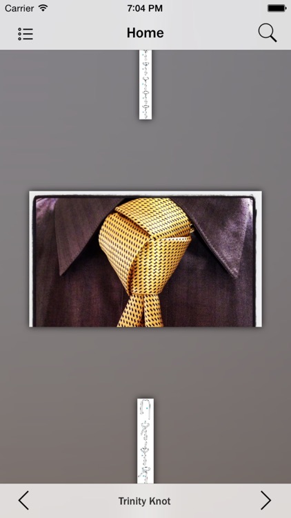 Necktie Knots screenshot-4