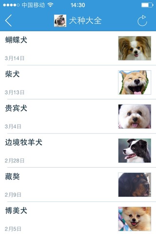 犬心犬意 screenshot 4