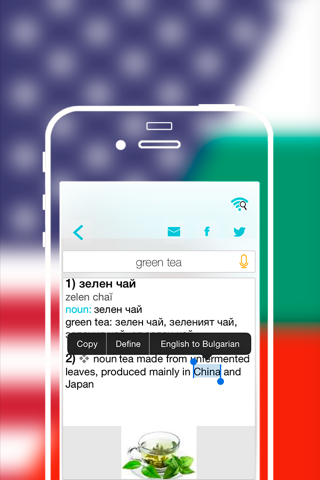 Offline Bulgarian to English Language Dictionary translator / английско - български речник screenshot 4