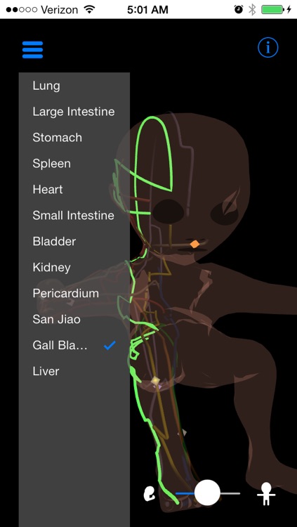 Acupuncture Meridians from Thalamic Neuron Theory screenshot-3