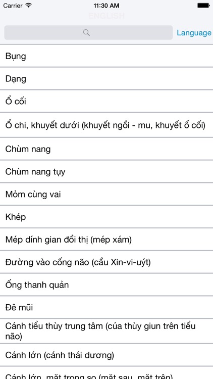Anatomy Dictionary