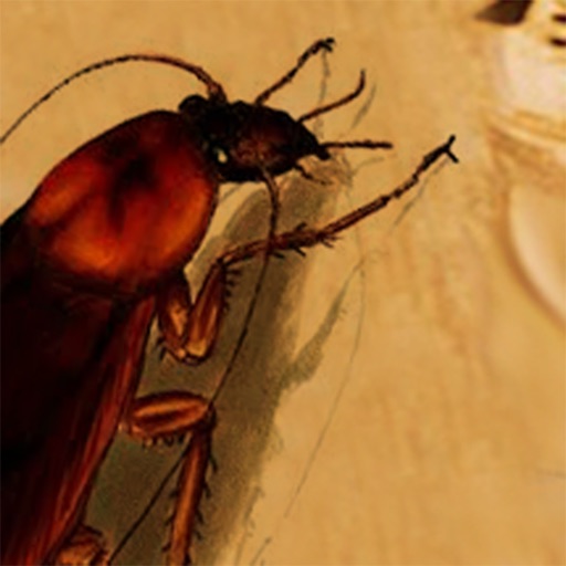 Nasty Cucaracha iOS App